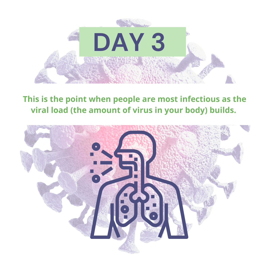 DAY 3