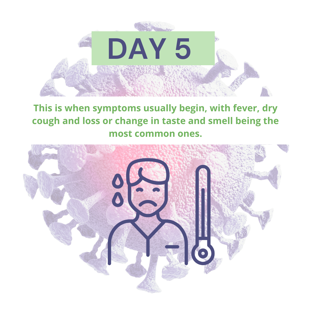 DAY 5