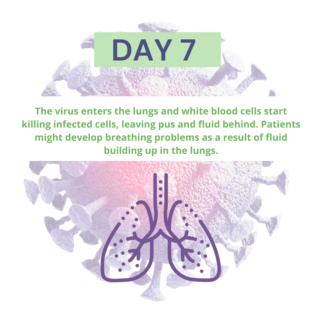 DAY 7
